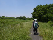 彩湖→BBQ場へ散策