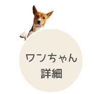 犬の料金表