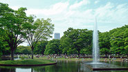 代々木公園　花見　出前