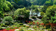 寿司　出前　六義園　花見