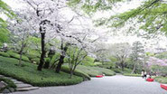 八芳園　寿司　出前