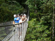 Combo Canopy & Hanging bridges in Arenal