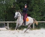 Cours particuliers CCE, dressage et CSO, écurie de propriétaires aux Rouillons, 89 Sens