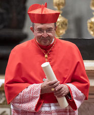 Mons. G.PETROCCHI