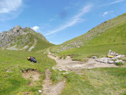 Bifurcation - vue vers le Col de Saoubathou