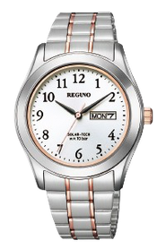 This is the CITIZENレグノKM1-237-93 product image