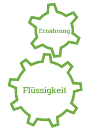 Bei der Ernährungsberatung geht es um deine Ernährung  aber auch um die Flüssigkeit