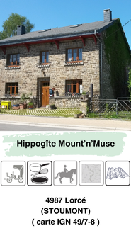 Gîte Mount 'n Muse