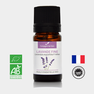 Organic essential oil True Lavender