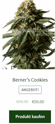 Berner’s Cookies Samen fem.