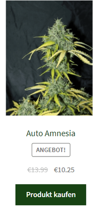 Auto Amnesia