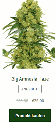 big amnesia haze autoflowering samen