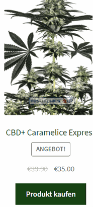 CBD+ Caramelice Express