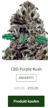 CBD Purple Kush autoflowering samen