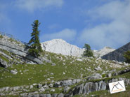 Neunerplatte Südtirol Fanes