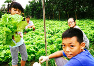 Cultivating with friends.