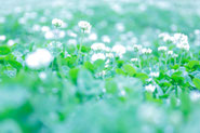(2018年・3月)