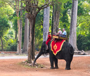 Éléphant travailleur à Angkor