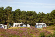 Texel Vakantiecentrum De Krim Texelcamping Loodsmanduin Kampeerplaats XL