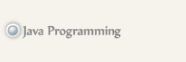 Java programming button