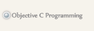 Object C programming button
