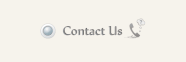 contact us button