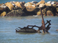 Betty's Bay