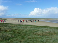 scolaire en baie de somme