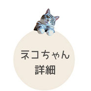 猫の料金表