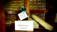 Natural Massage Oil, Eco, wellness, Camiguin, Philippines, Spa, Nypa Style Resort