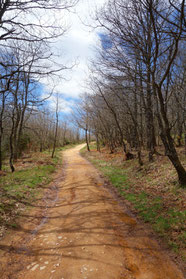 In den Montes de Oca