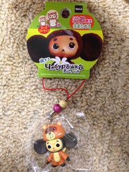 滋賀県 信楽チェブ