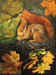 Eichhörnchen 30 x 40  