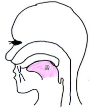 お口の緊張状態の図