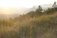 Provence Img 2505