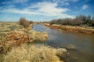           Rio Pecos in den USA / New Mexico