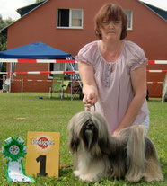 Fu-Kao Flying Carpet Lhasa Apso Rüde