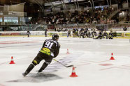 Bulldogs feiern mit ihren Fans.