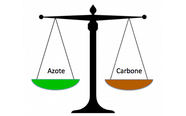 Equilibre azote - carbone