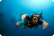 Photo of a diver underwater for PADI courses