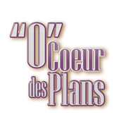 Logo de O Cœur des Plans, réalisé par Willis Illustrations