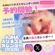 ご好評につき完売いたしました！