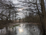 FOTO: NABU Bad Münder