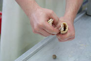 Das Fleisch wurde von den Knochen gelöst und die Kalbsknochen können einfach mit der Hand zerbrochen werden