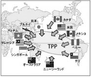 TPP参加国