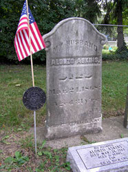  (click to enlarge)