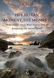 Diamond Body Book 3: Het Nu van moment tot moment