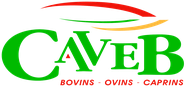 Logo et accès au site Web de la CAVEB