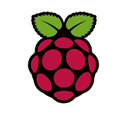 Logotipo creado por Paul Beech (Fuente: www.raspberrypi.org)