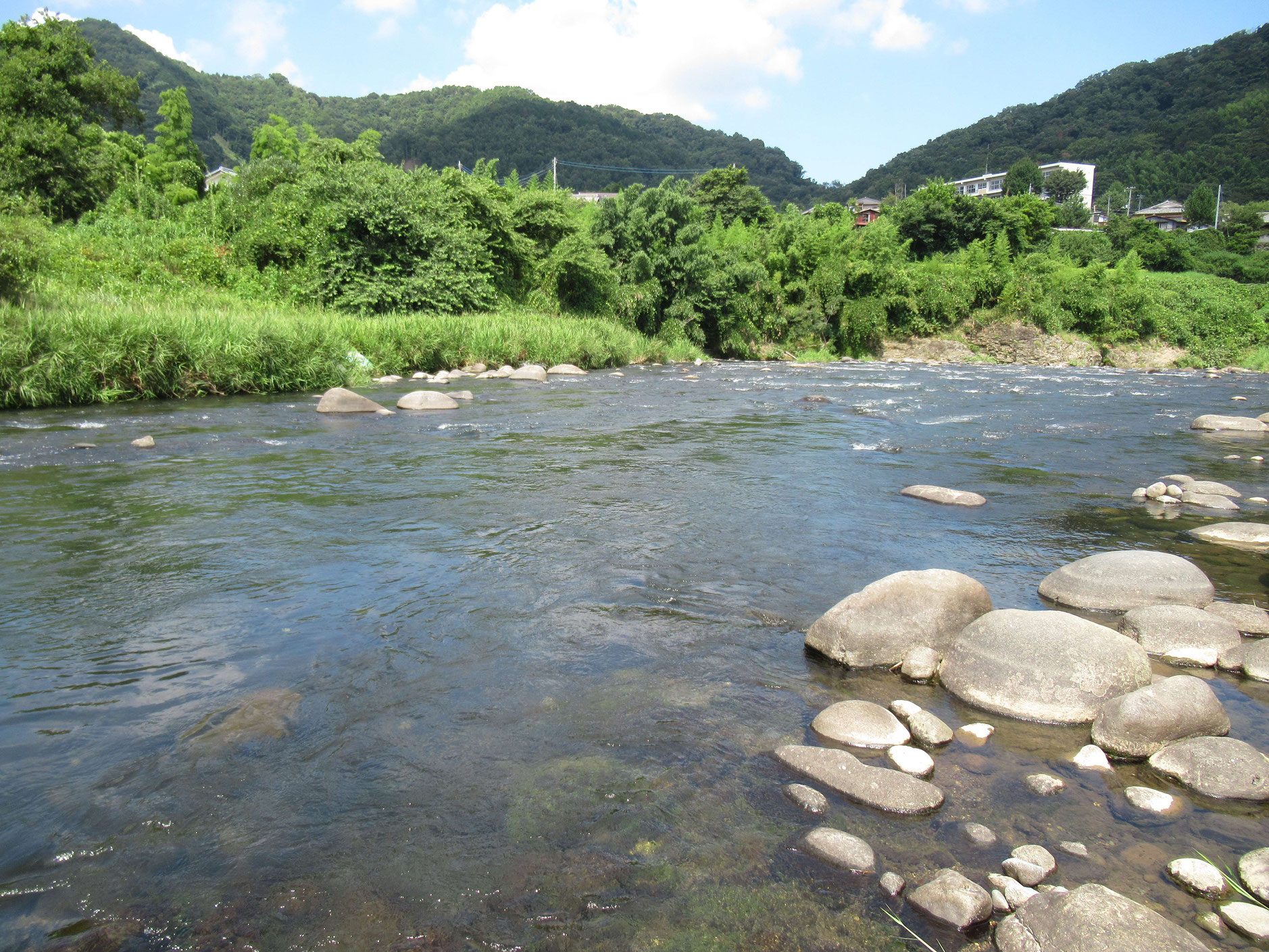 8月11日　狩野川現在の様子